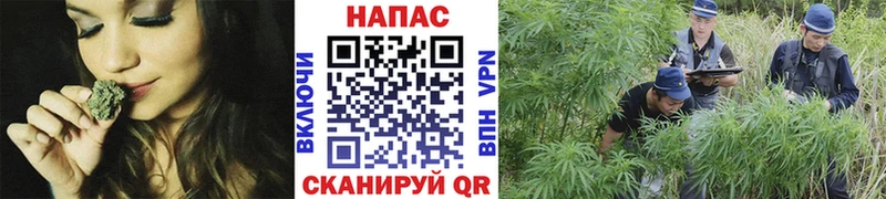 Цена Волжск Гашиш Каннабис Кокаин Меф