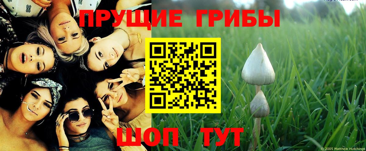 Псилоцибиновые грибы Magic Shrooms  Волжск 