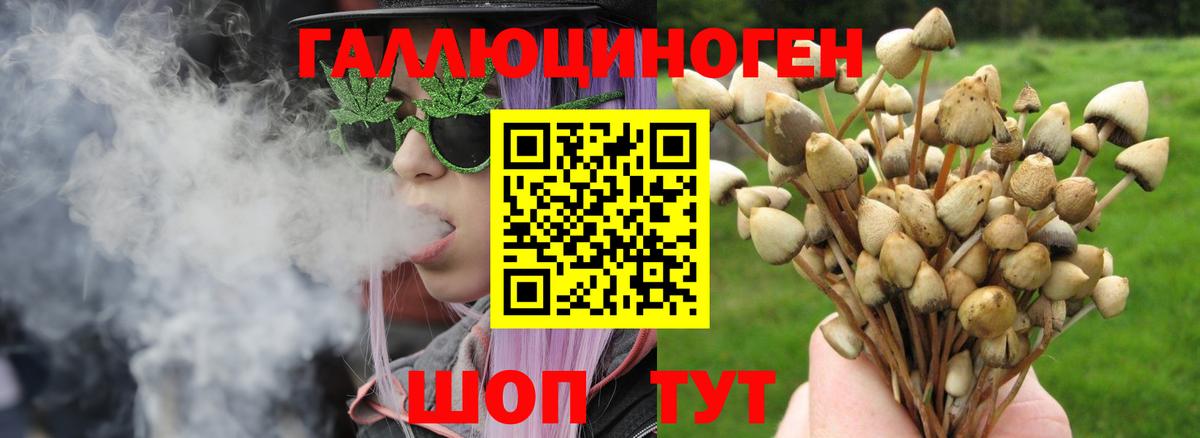 Галлюциногенные грибы MAGIC MUSHROOMS  Галлюциногенные грибы мицелий  Вход с VPN  Волжск 